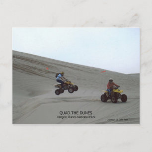 Quad The Dunes Oregon Coast Sand Fun 4 Wheel Postcard
