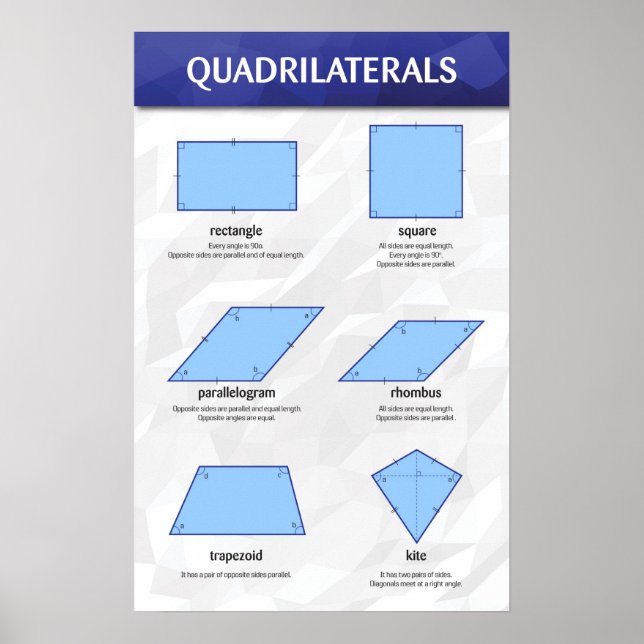 Quadrilaterals Poster (Front)