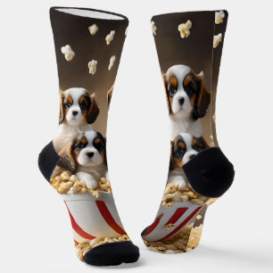 Quads Cavalier Spaniel Puppies In The Popcorn, Socks