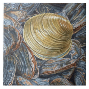 Quahog and Clams Ceramic Tile