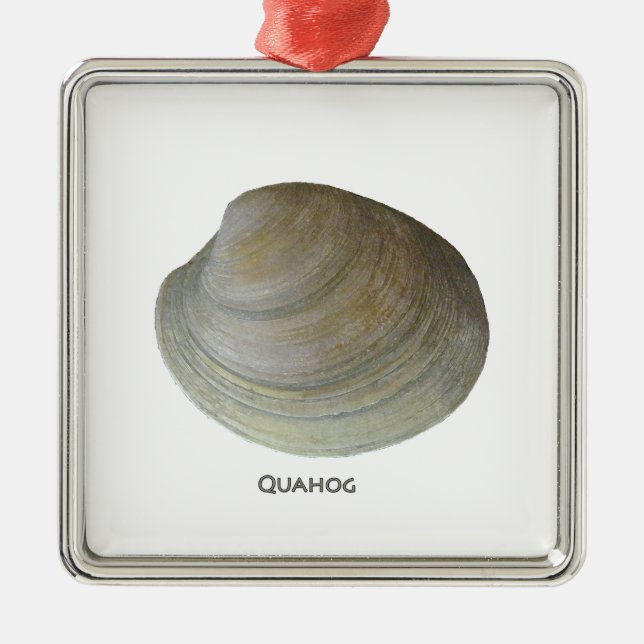 Quahog Clam Metal Tree Decoration (Front)