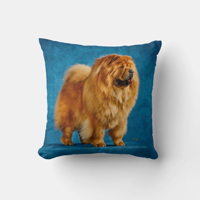 Quahrma Chow pillow (Front)