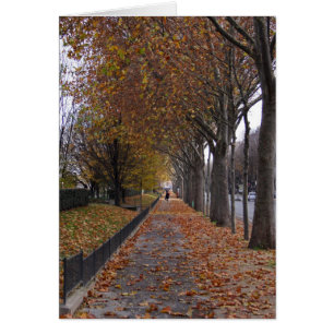 Quai d'Orsay