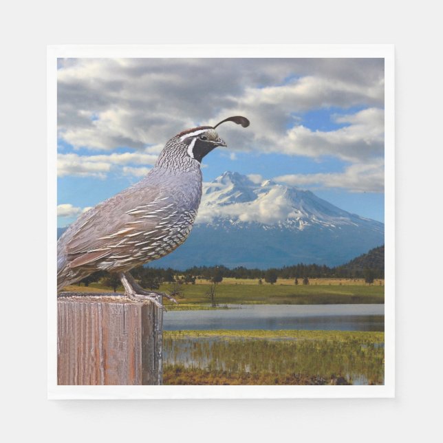 QUAIL AND SHASTA NAPKIN (Front)