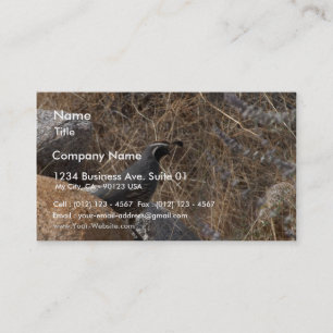 Quail Bird In The Desert Business Card