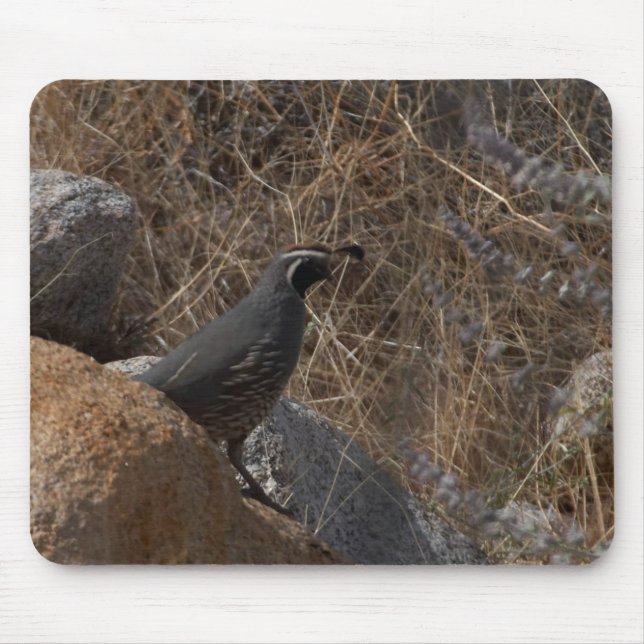 Quail Bird In The Desert Mouse Mat (Front)