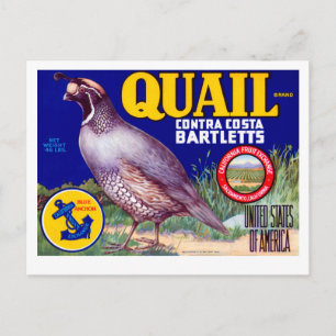Quail Brand Contra Costa Bartletts Postcard