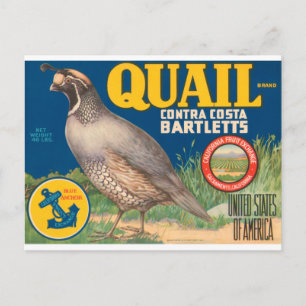 Quail Brand Contra Costa Bartletts Postcard