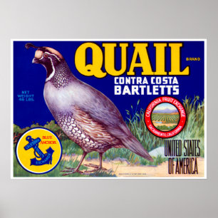 Quail Brand Contra Costa Bartletts Poster