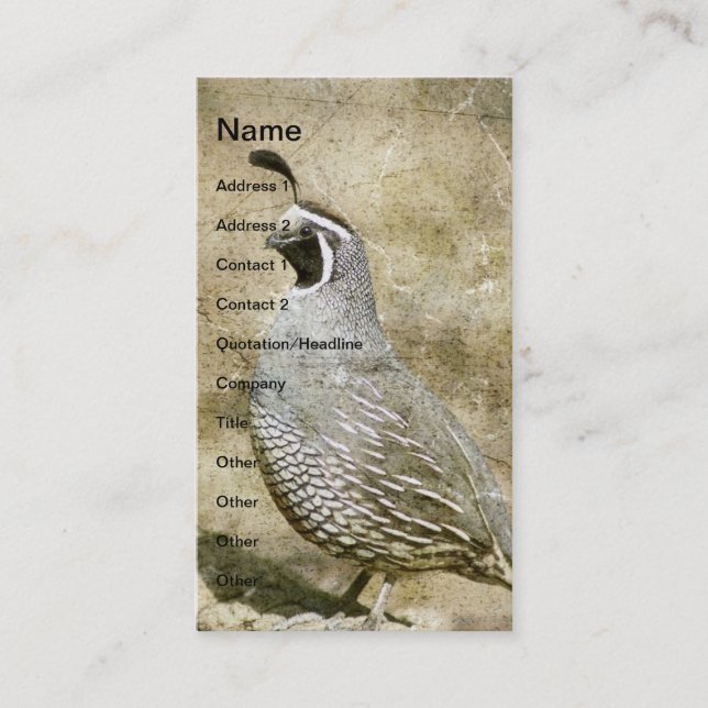 Quail Business Card (Front)