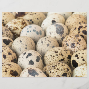 Quail Eggs Flyer