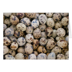 Quail Eggs, Huaraz, Cordillera Blanca, Ancash