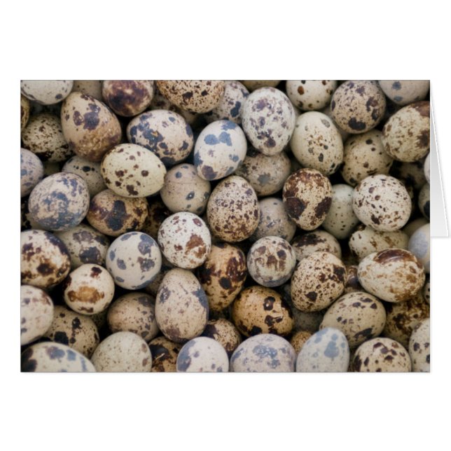 Quail Eggs, Huaraz, Cordillera Blanca, Ancash (Front Horizontal)