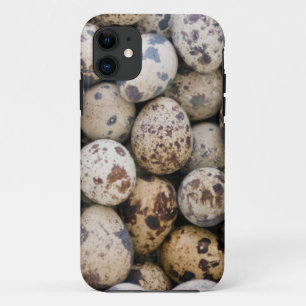 Quail Eggs, Huaraz, Cordillera Blanca, Ancash iPhone 11 Case