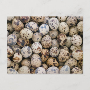Quail Eggs, Huaraz, Cordillera Blanca, Ancash Postcard