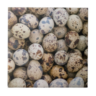 Quail Eggs, Huaraz, Cordillera Blanca, Ancash Tile