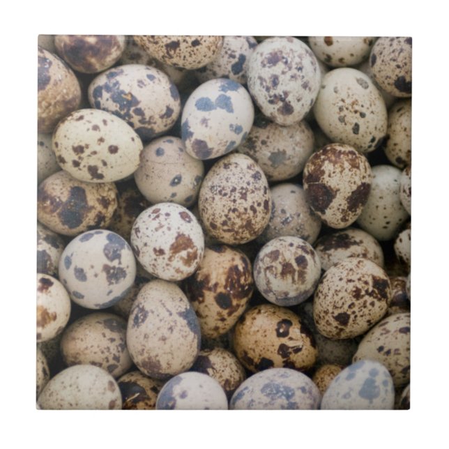 Quail Eggs, Huaraz, Cordillera Blanca, Ancash Tile (Front)