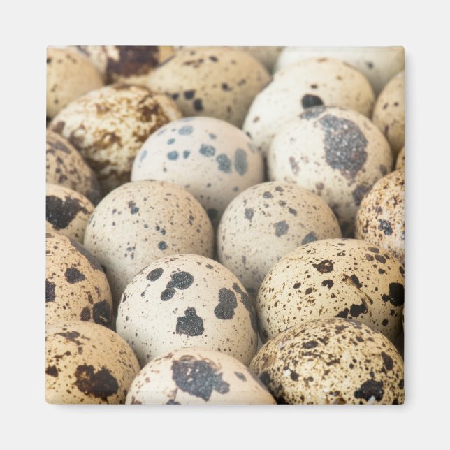 Quail Eggs Magnet (Front)