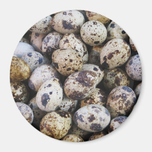 Quail Eggs Magnet