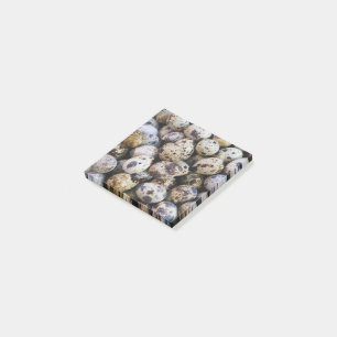 Quail Eggs Post-it Notes