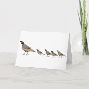 Quail Family Greeting Card
