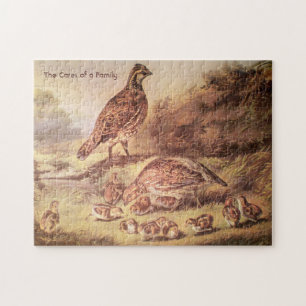 Quail Family Medium Puzzle (250 pieces)