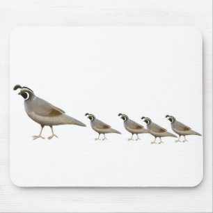 Quail Family Mousepad