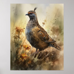 Quail Farm Animal Art Print Poster
