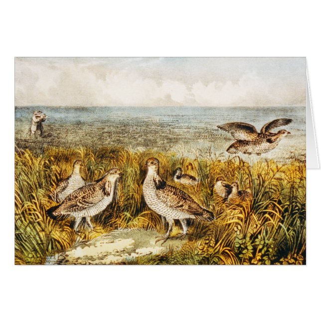 Quail Hunting - Vintage fine Art (Front Horizontal)