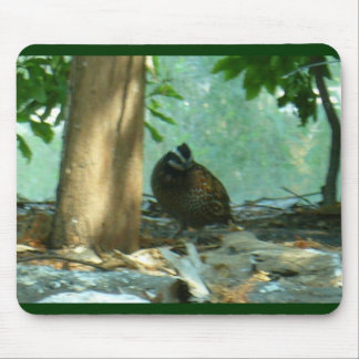 Quail Mouse Mat