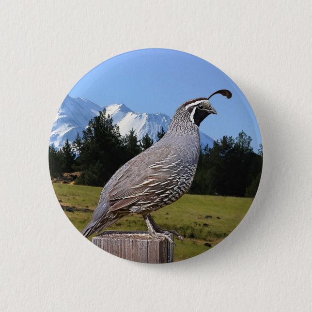 QUAIL ON DREAM POINT 6 CM ROUND BADGE (Front)