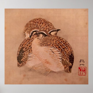 Quail Trio Poster