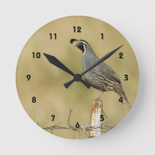 Quail Wall Clock