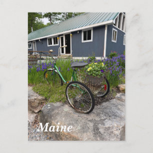 Quaint Maine backwoods Holiday Postcard