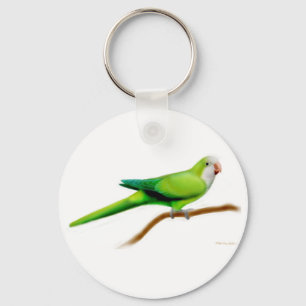 Quaker Monk Parakeet Keychain