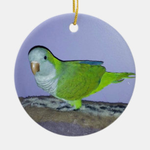 Quaker Parrot Ceramic Tree Decoration