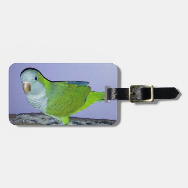 Quaker Parrot Luggage Tag (Front Horizontal)