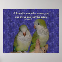 Quaker Parrot Pair Friendship Quote