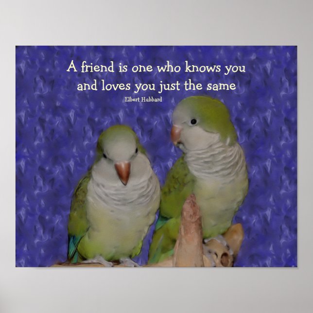 Quaker Parrot Pair Friendship Quote Poster (Front)