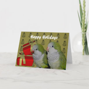 Quaker Parrot Parakeet Christmas Holiday Card