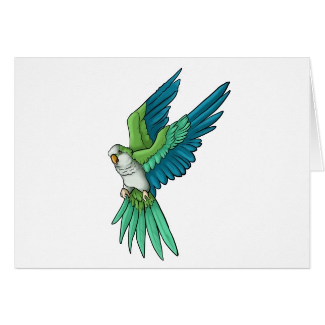 Quaker Parrot Products (Front Horizontal)