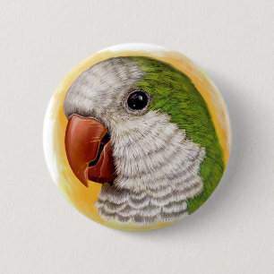Quaker parrot realistic painting 6 cm round badge