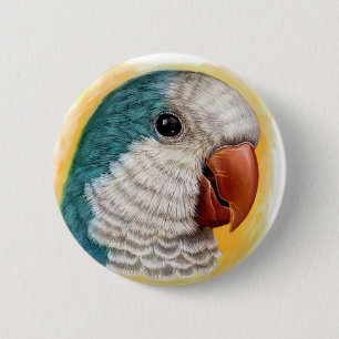 Quaker parrot realistic painting 6 cm round badge
