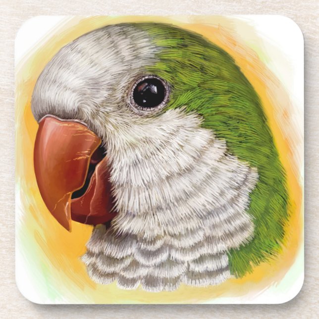 Quaker parrot realistic painting coaster (Front)