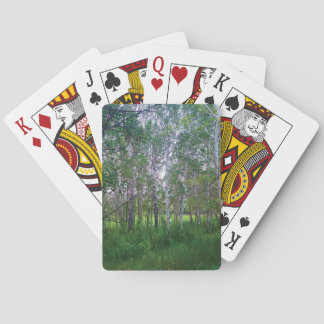 Quakies Playing Cards