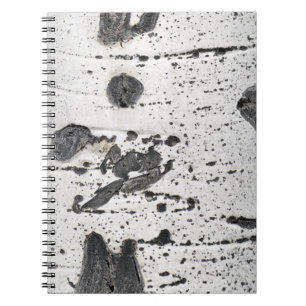 Quaking Aspen Bark Close-Up Photograph Notebook
