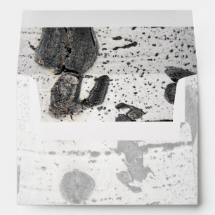 Quaking Aspen Bark Inside & Out Envelopes
