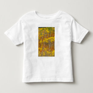 Quaking aspen grove in peak autumn colour in toddler T-Shirt