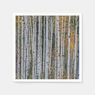 Quaking Aspen in Autumn  Napkin