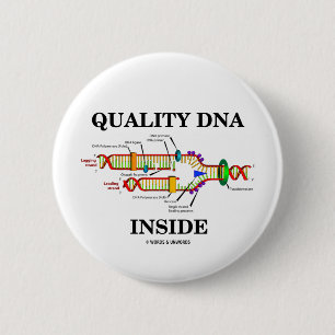 Quality DNA Inside (DNA Replication) 6 Cm Round Badge